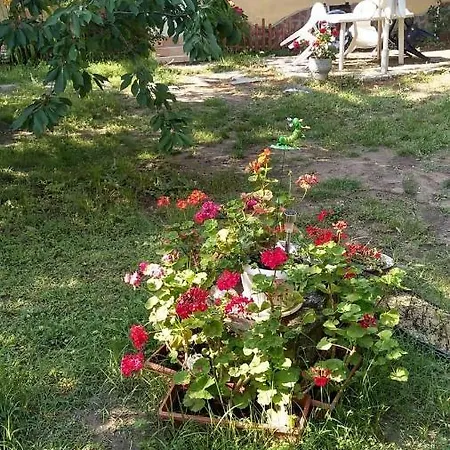 Dom wakacyjny Савина *